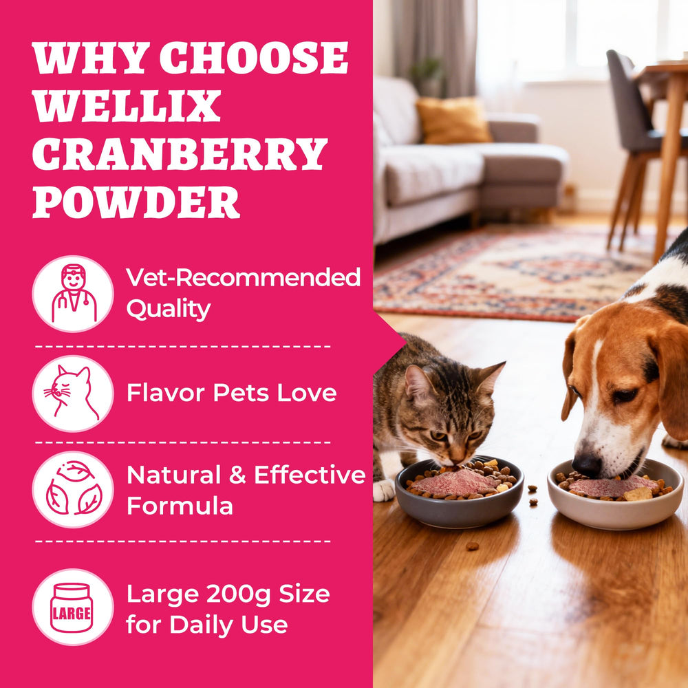 Wellix cranberry powder for kidney and bladder support