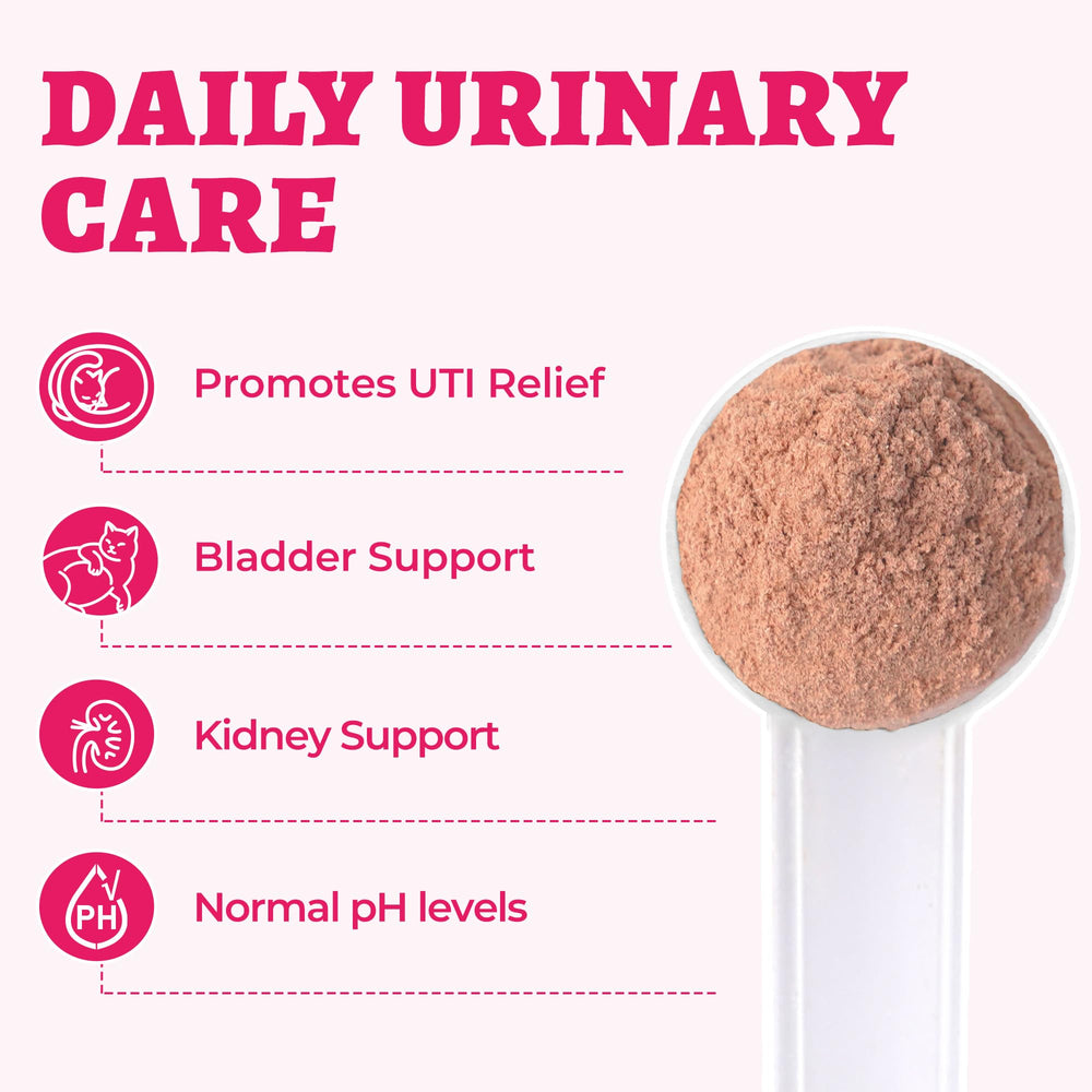 Wellix cranberry powder highlighting urinary health support for pets