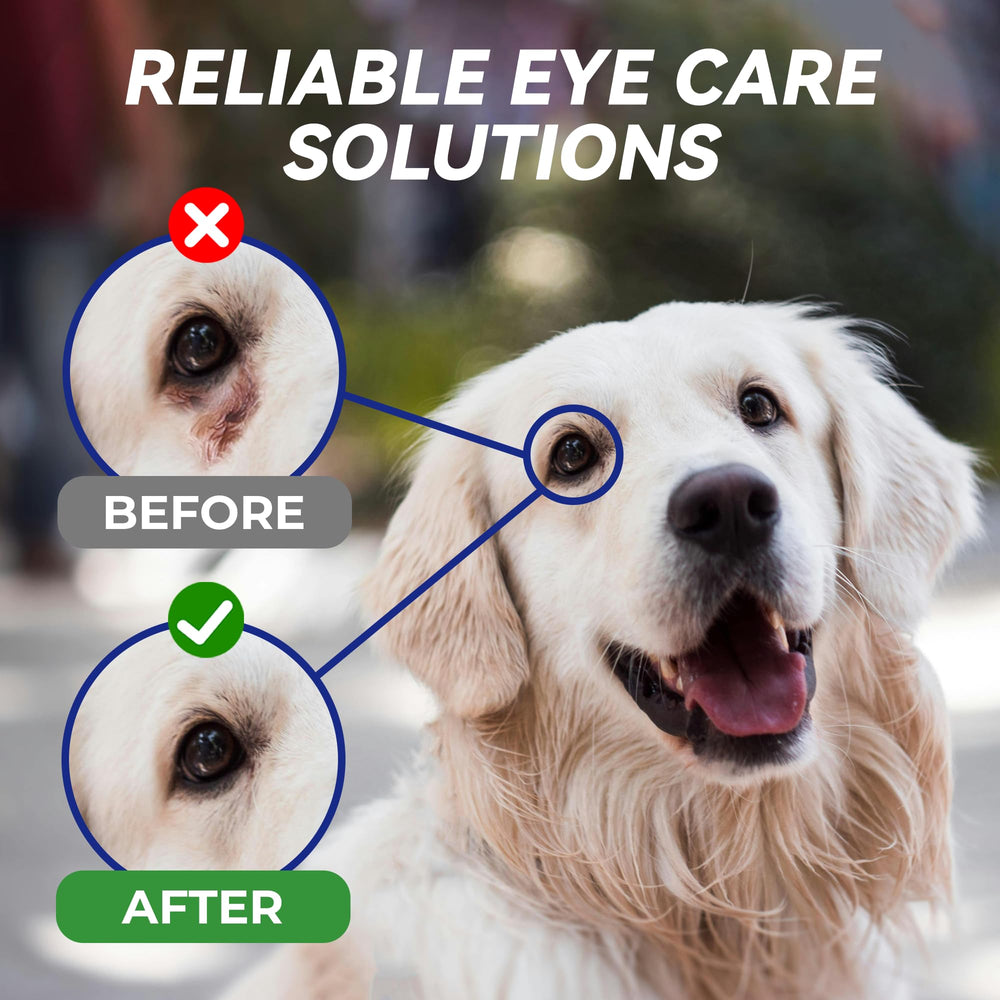 Wellix daily eye care use outdoors depiction conveys convenient care anywhere.
