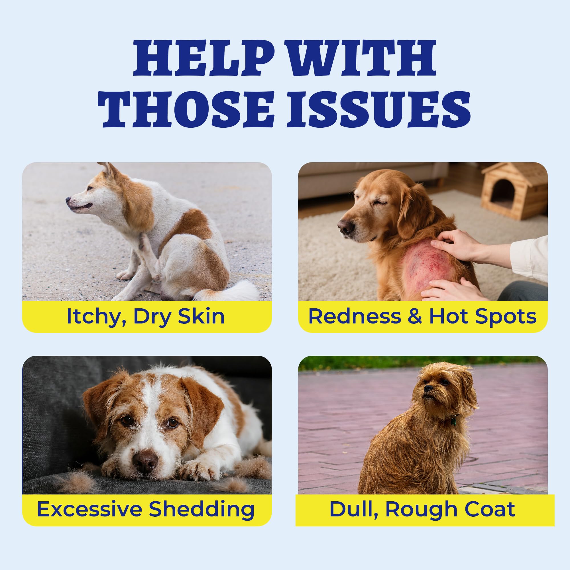 Wellix dog fur and coat illustration showcases long-lasting omega-3 supply for months.