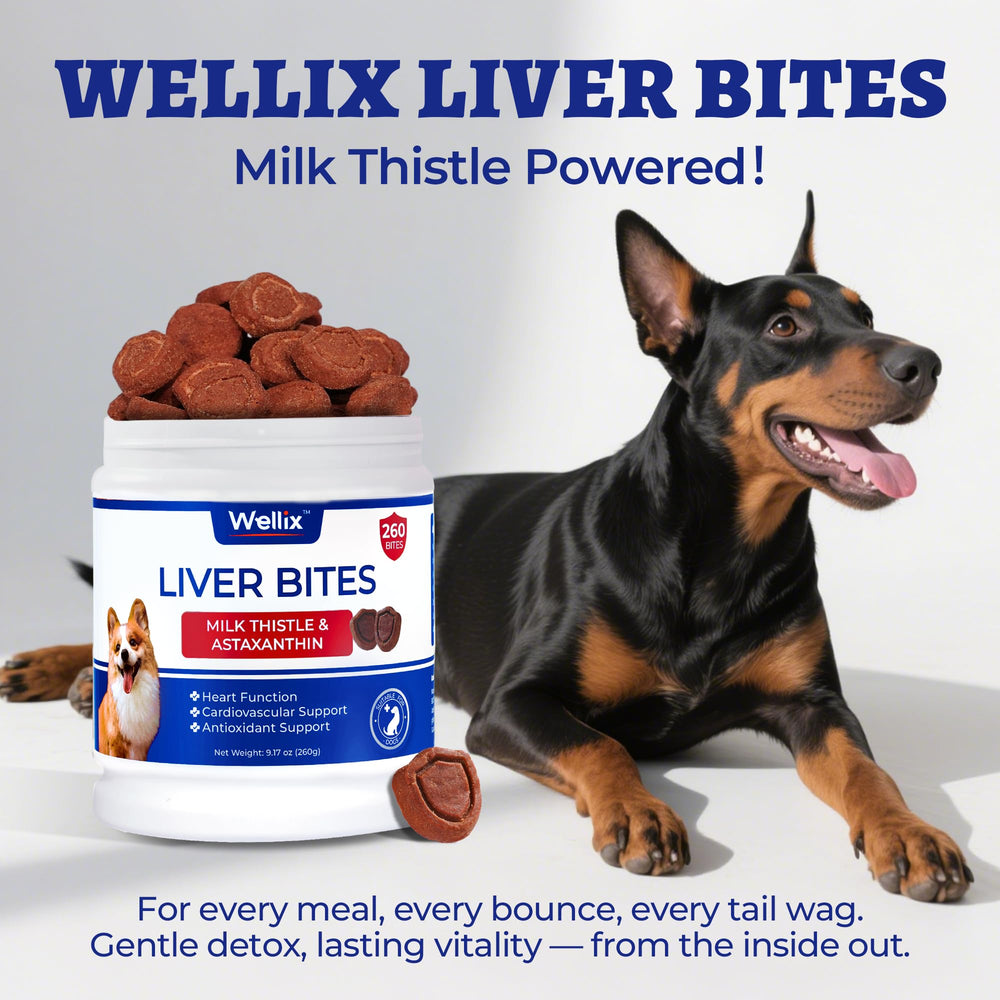 Wellix dog liver support chews provide antioxidant-friendly formula.