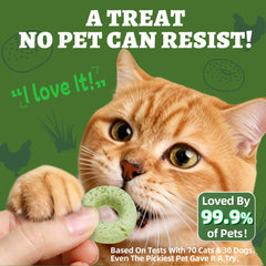 Wellix freeze-dried donut texture highlights crunchy bite for dental-friendly cleaning