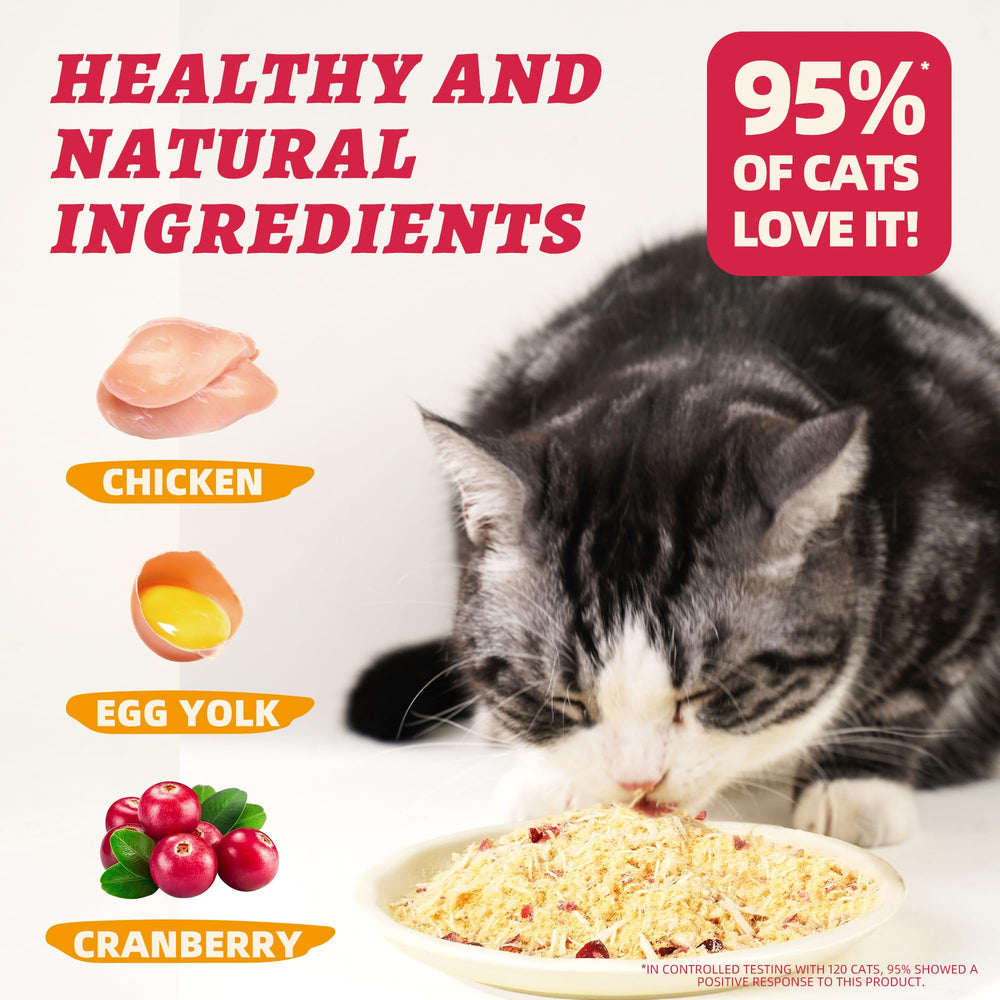 Wellix Freeze-Dried Egg Yolk close-up highlighting a nutritious meal topper