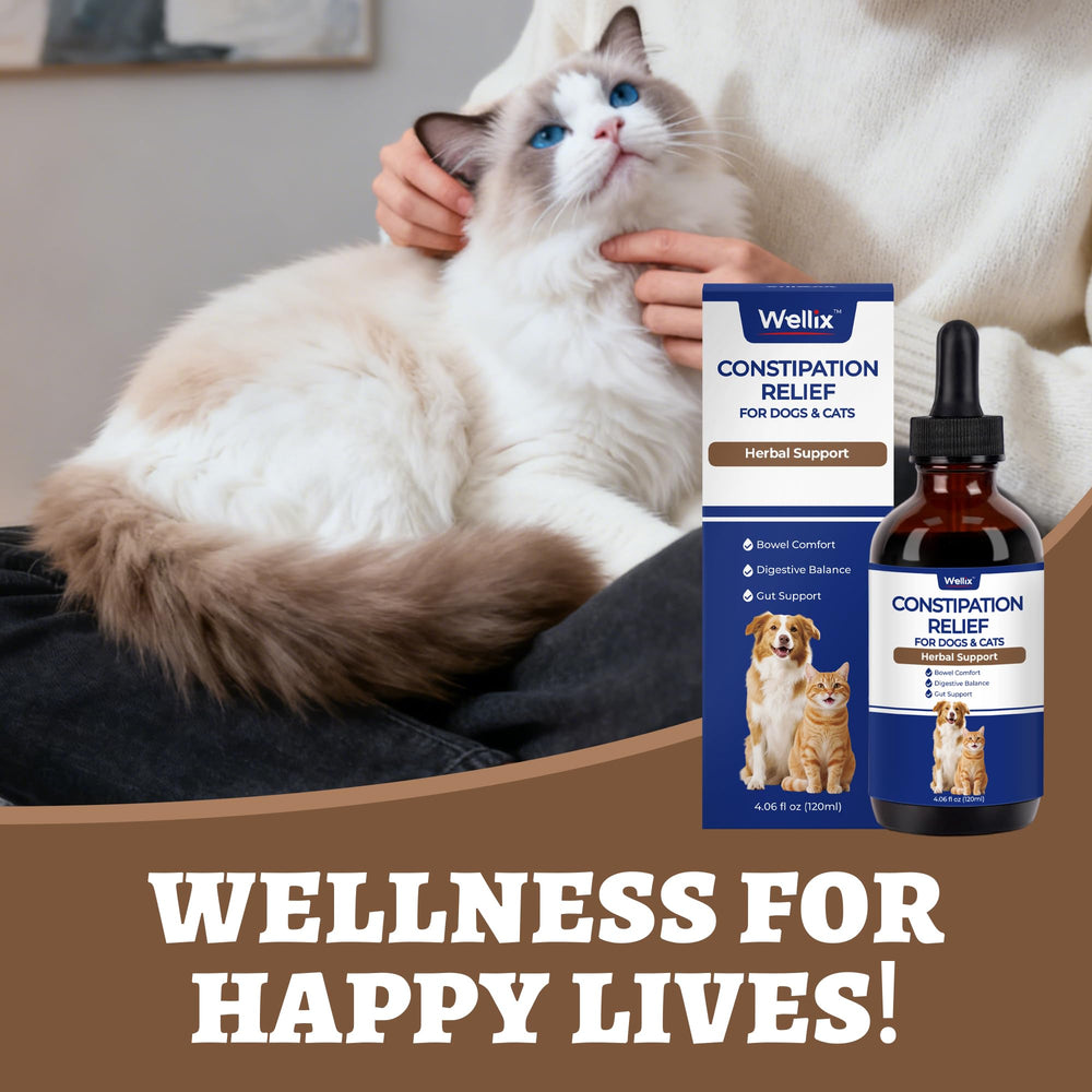 Wellix gut-health-liquid-solution soothing pet digestive routine.