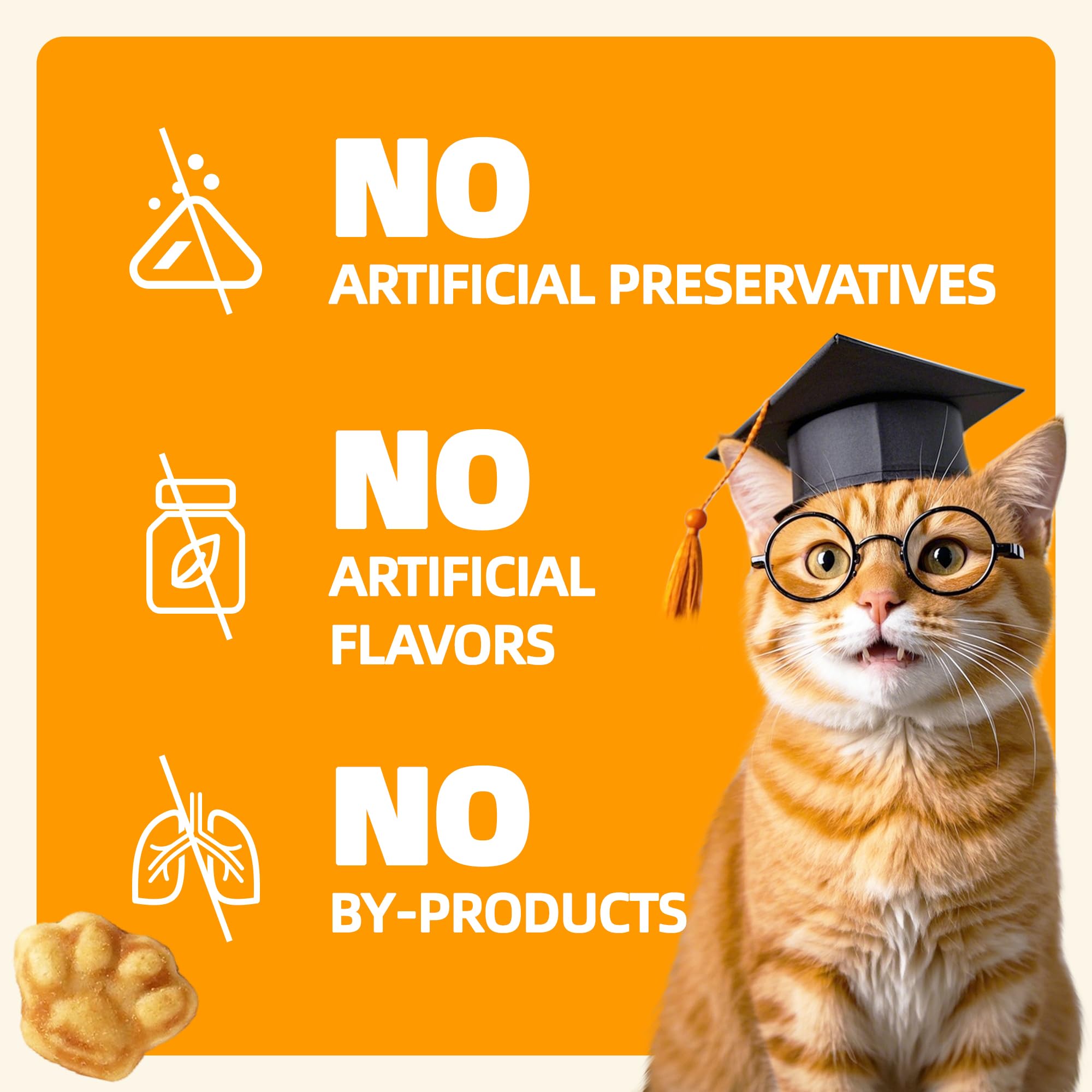Wellix indoor cat care with digestive-friendly pumpkin fiber.