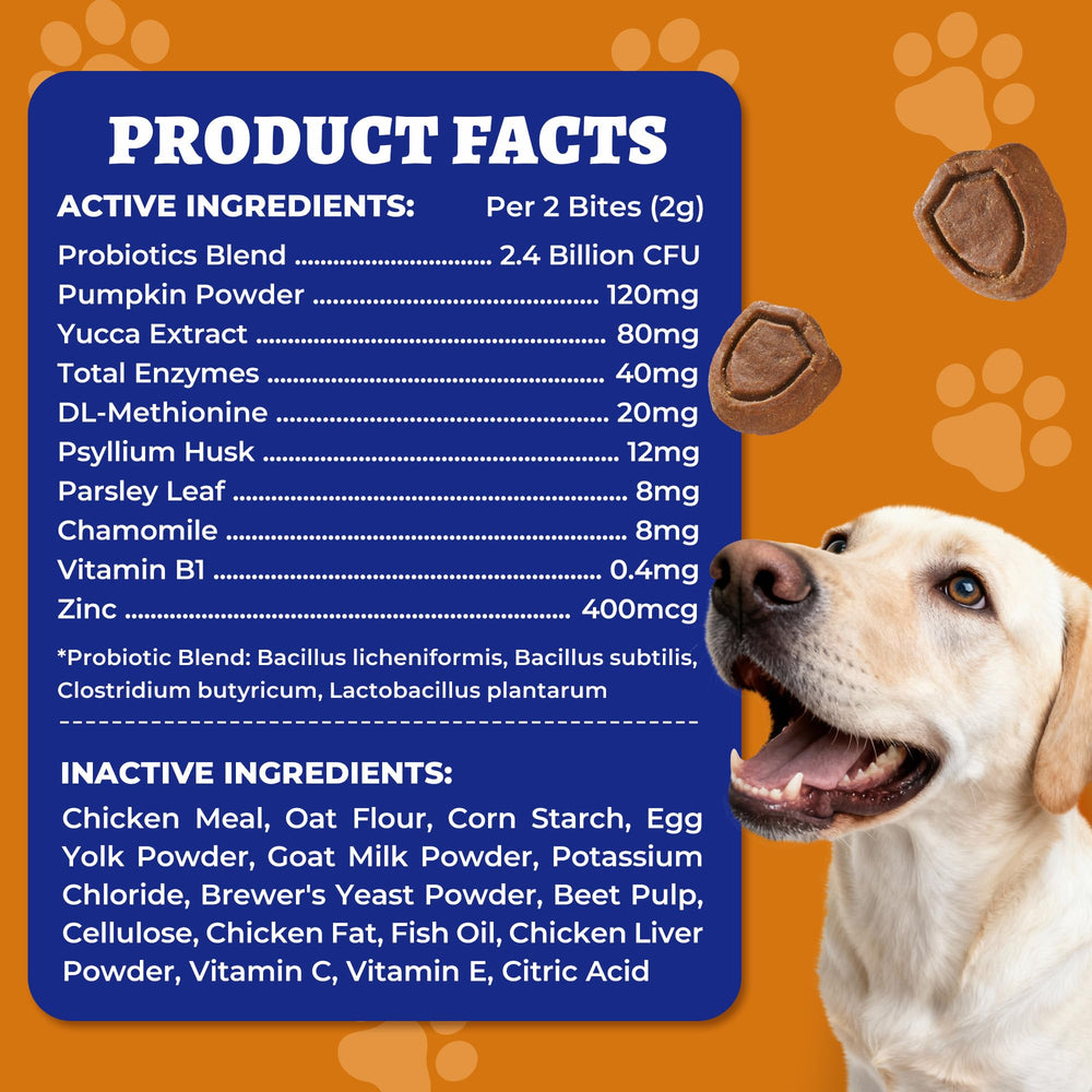 Wellix multi-dog household usage context with two dogs enjoying chews.