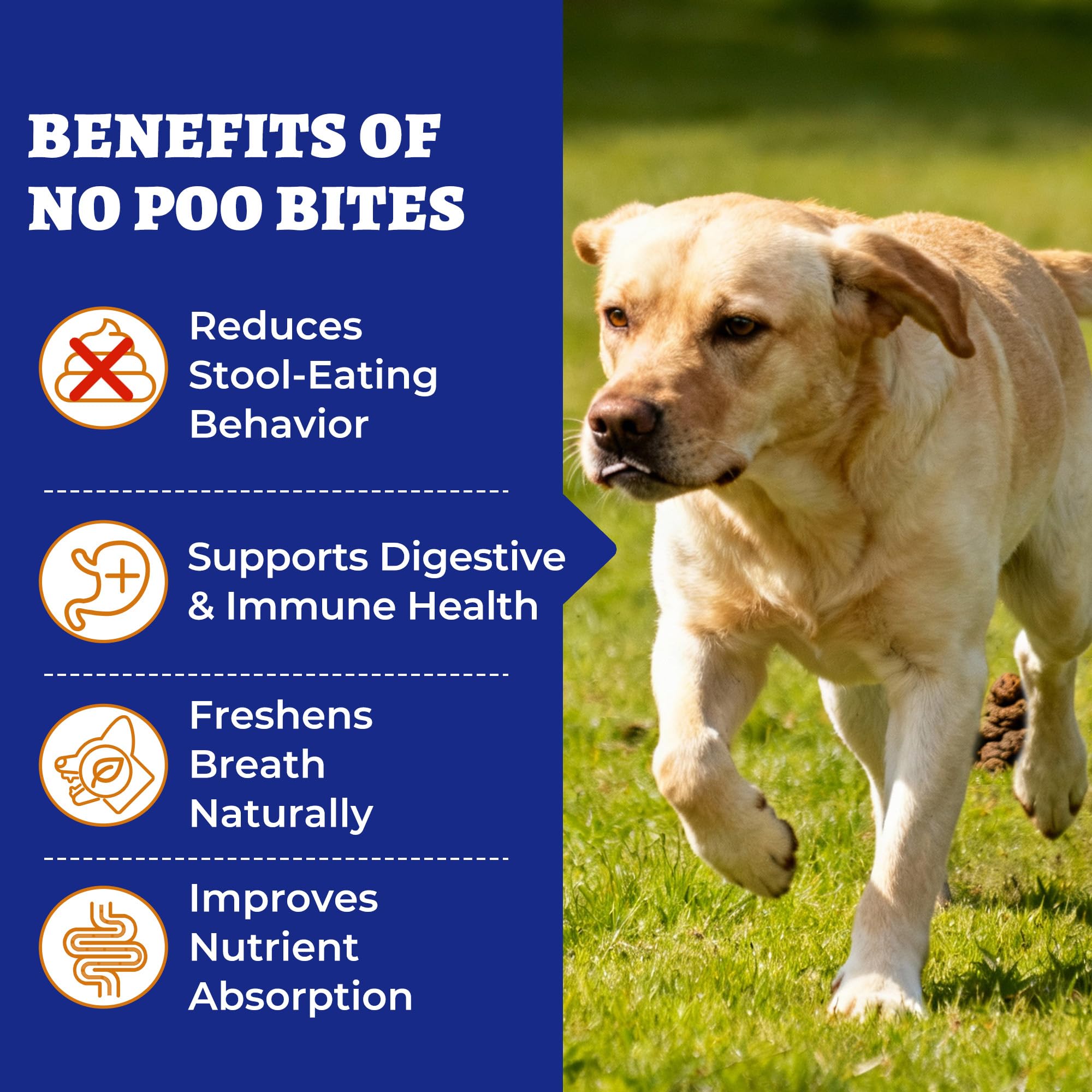 Wellix No Poo Chews dog bowl closeup shows tasty chicken pumpkin flavor.