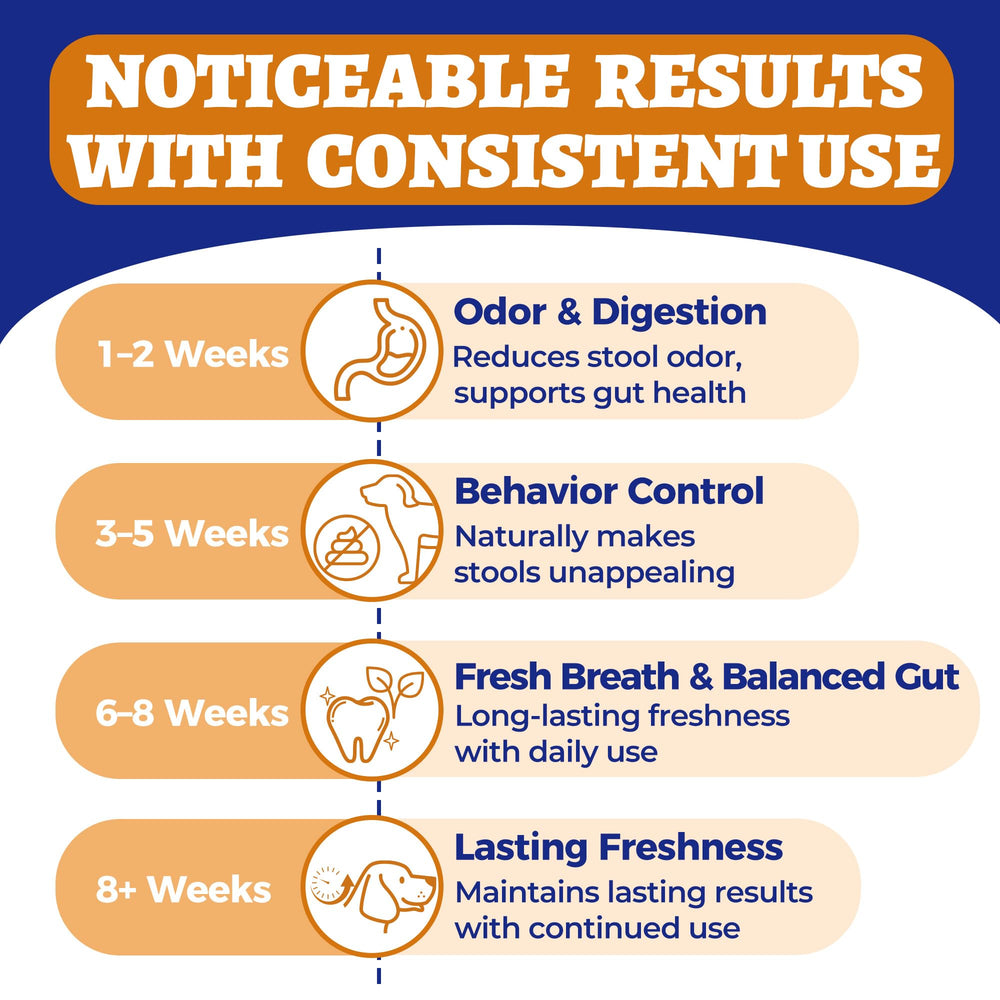 Wellix probiotics digestive support chews closeup highlighting gut-friendly enzymes and pumpkin benefits.