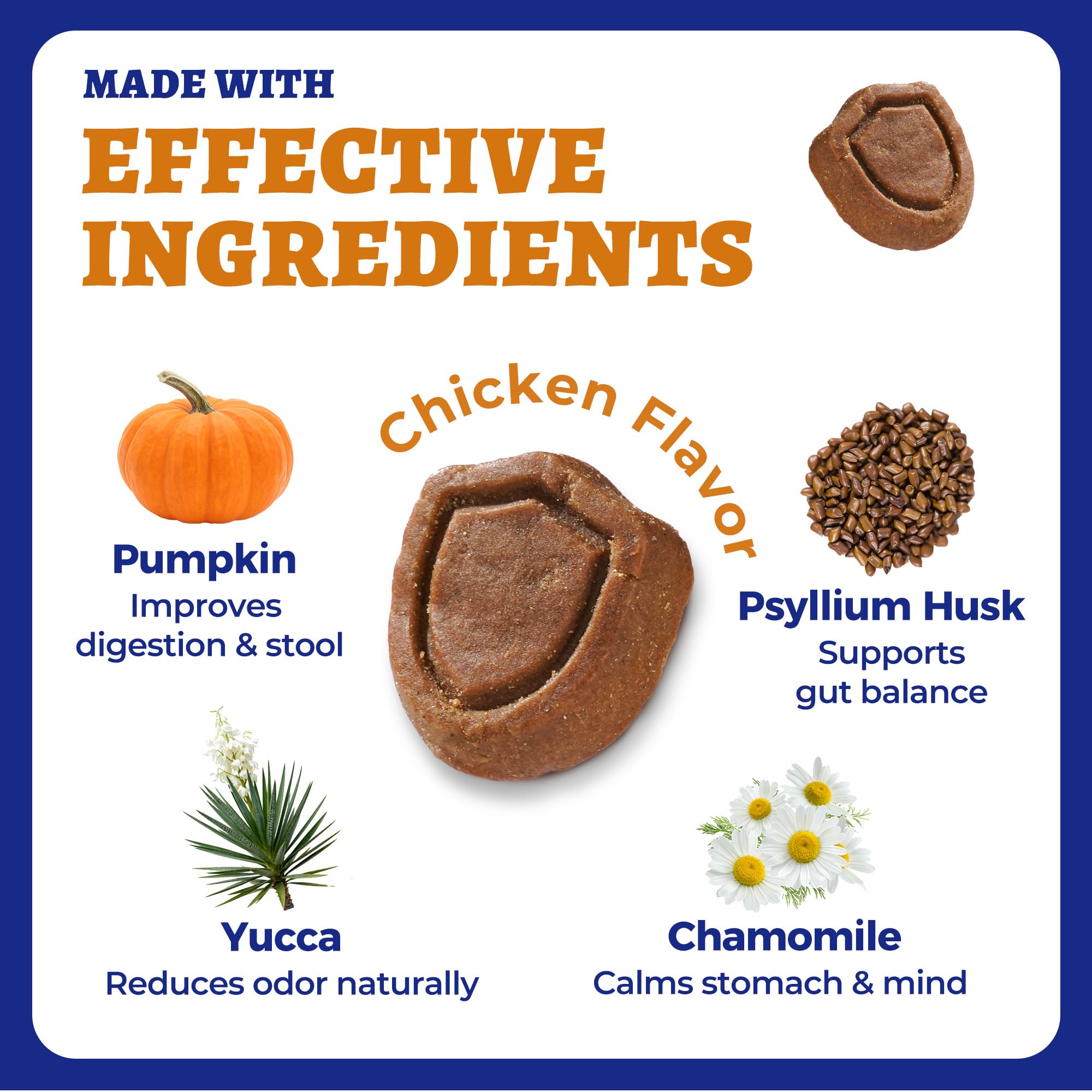 Wellix pumpkin yucca chamomile ingredients label closeup highlights natural formulation.