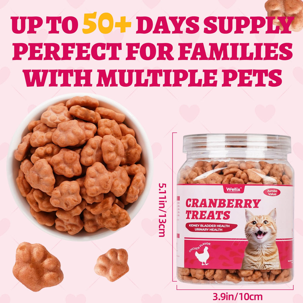 Wellix salmon oil glaze on treats suggesting coat shine and overall wellness.