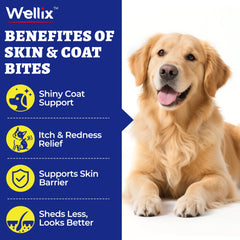 Wellix skin and coat chews close-up highlights tasty chicken flavor for easy dosing.