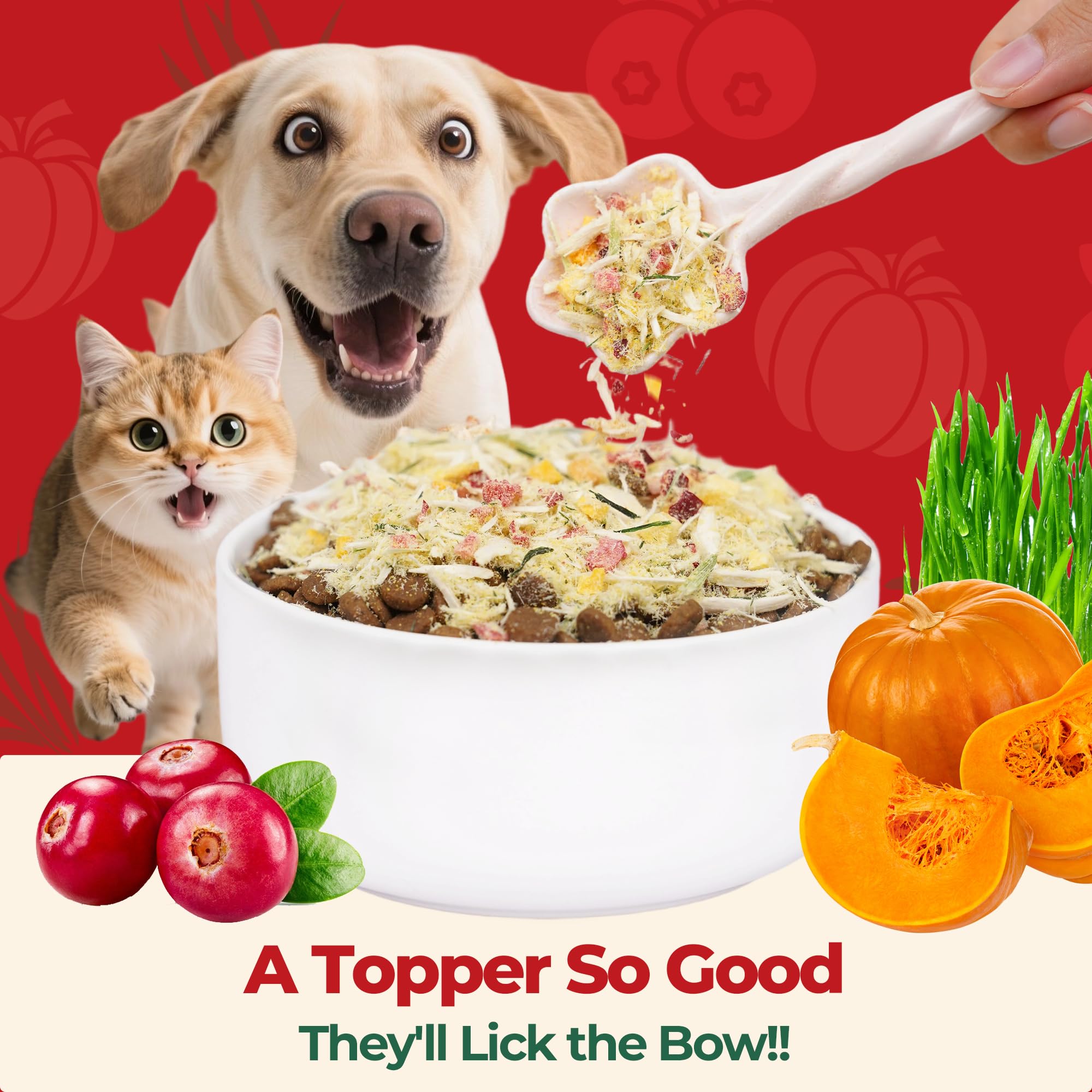 Wellix topper served in a bowl highlighting versatile rewards for cats and dogs