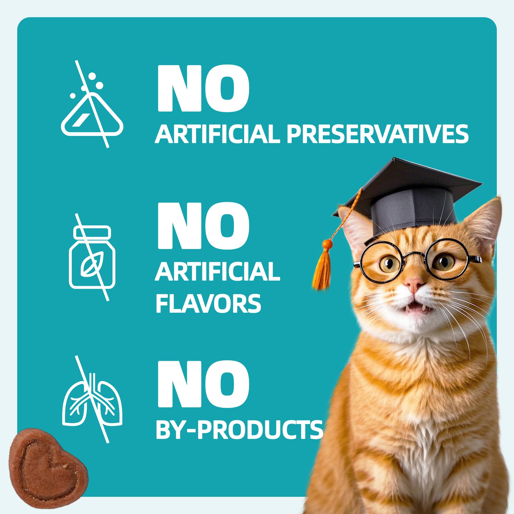 Wellix training rewards cat treats in use during playtime.