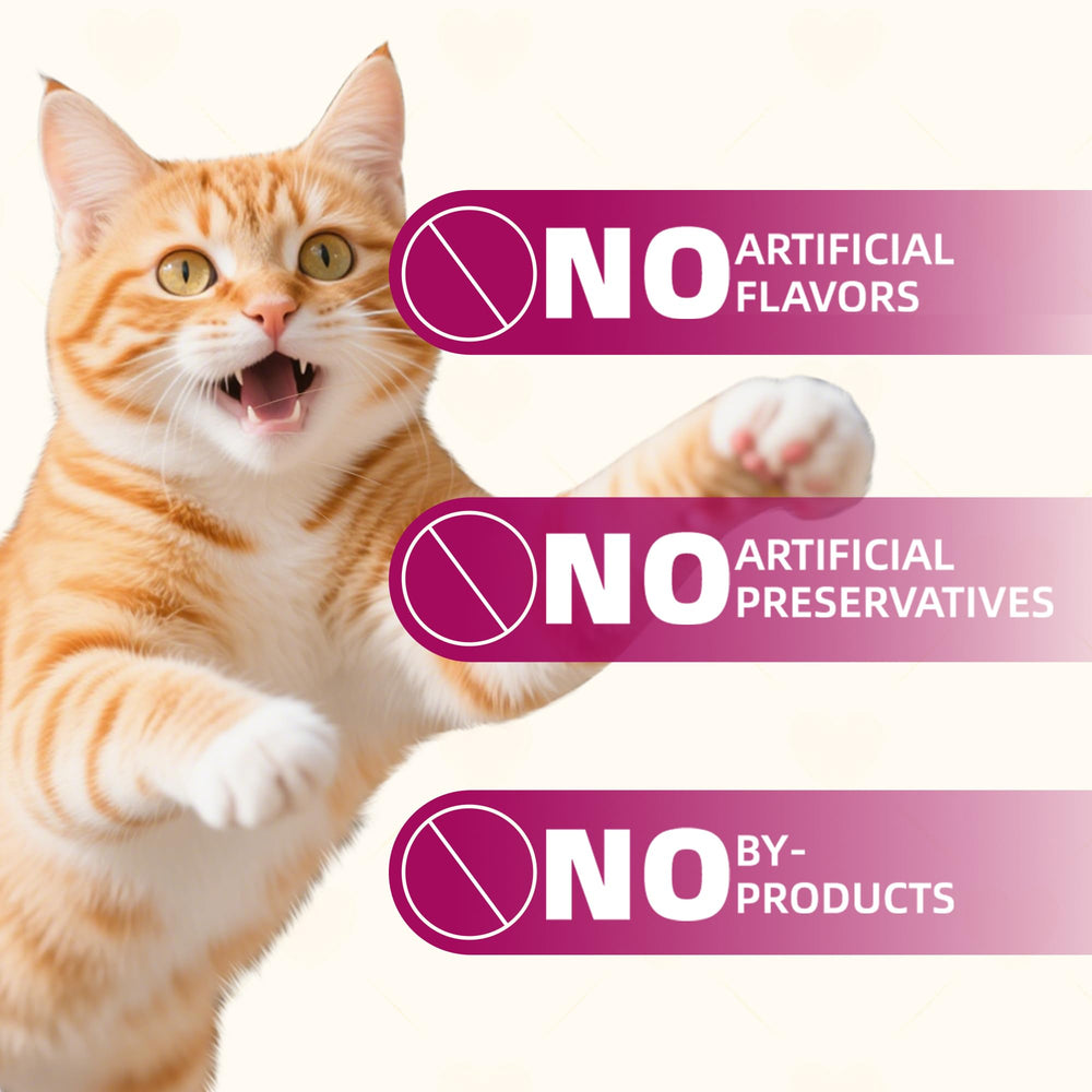 Wellix training treats convenient for rewarding progress during cat and dog training.