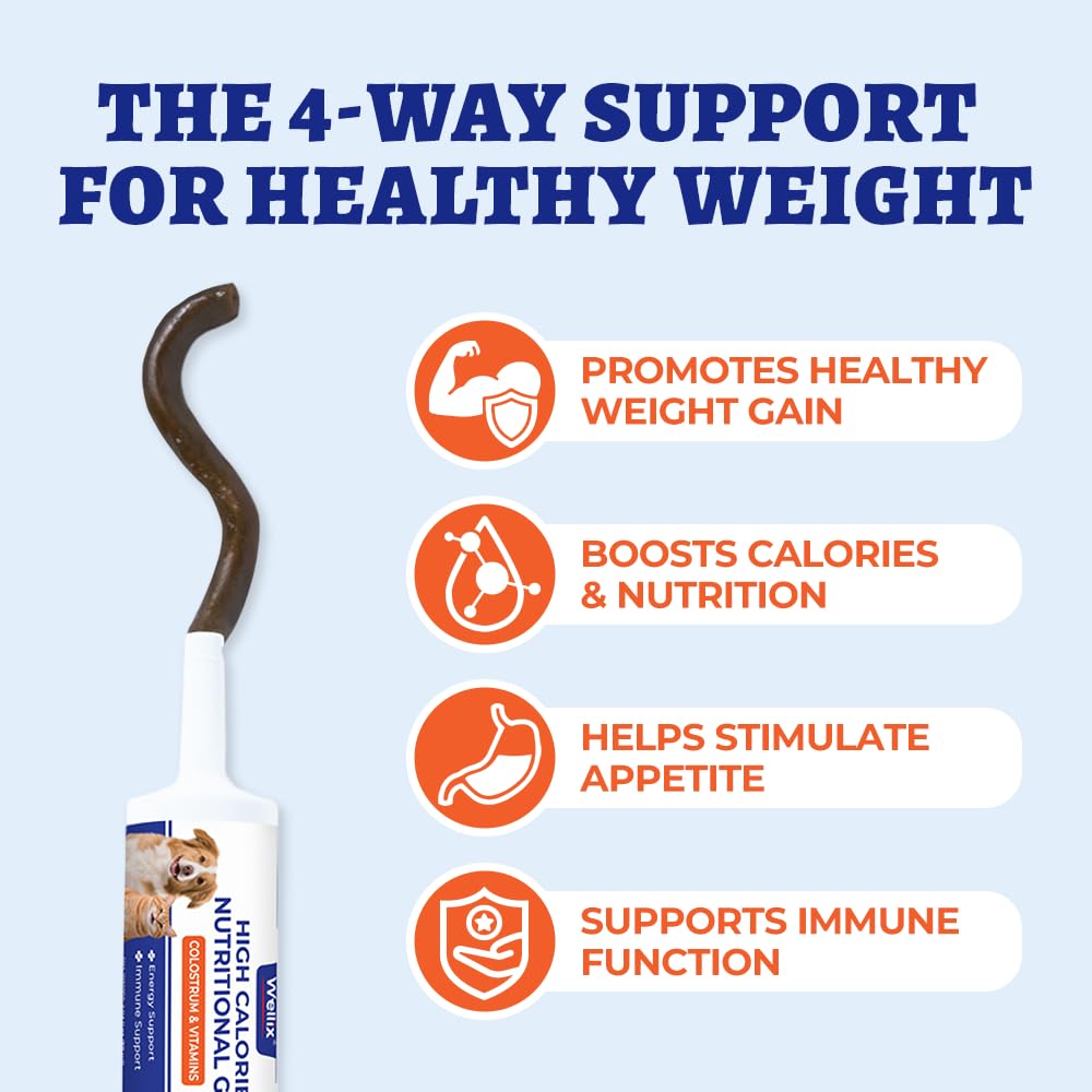Wellix Weight Gainer dog-cat-usage demonstrates versatility for dogs and cats.