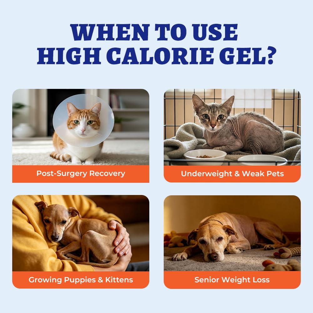 Wellix Weight Gainer nose-application enables self-licking convenience and mess-free feeding.