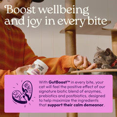 WellJoy daily routine scene emphasizes easy supplementation for busy cat households