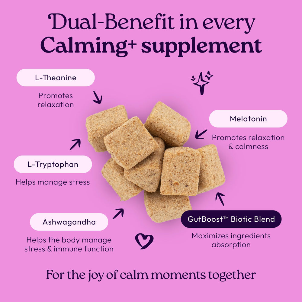 WellJoy GutBoost biotic blend graphic highlights gut health support for cats