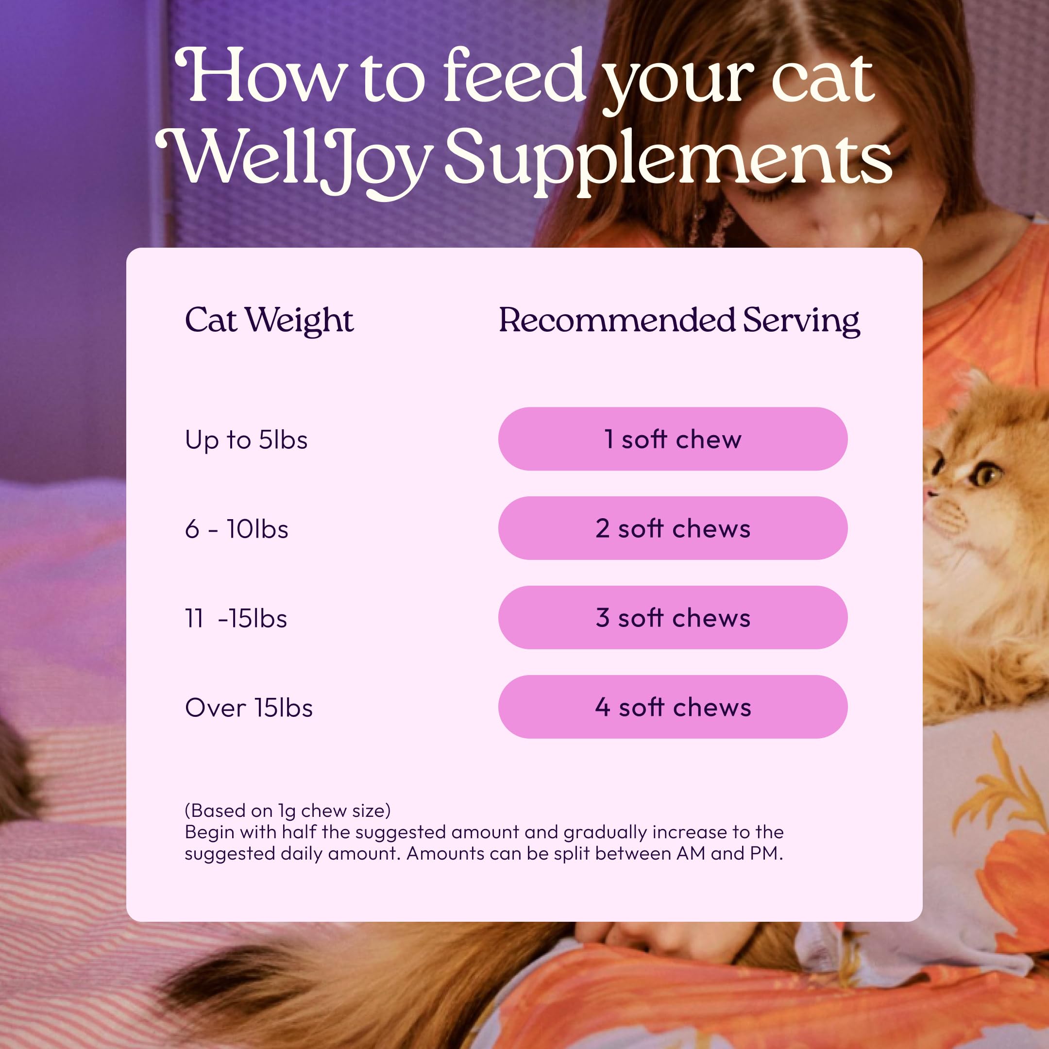 WellJoy vet-formulated label highlights veterinarian-backed feline wellbeing
