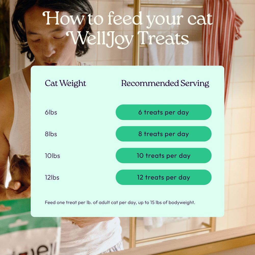 WellJoy 120-Soft-Chews: convenient bag for daily feline treats.