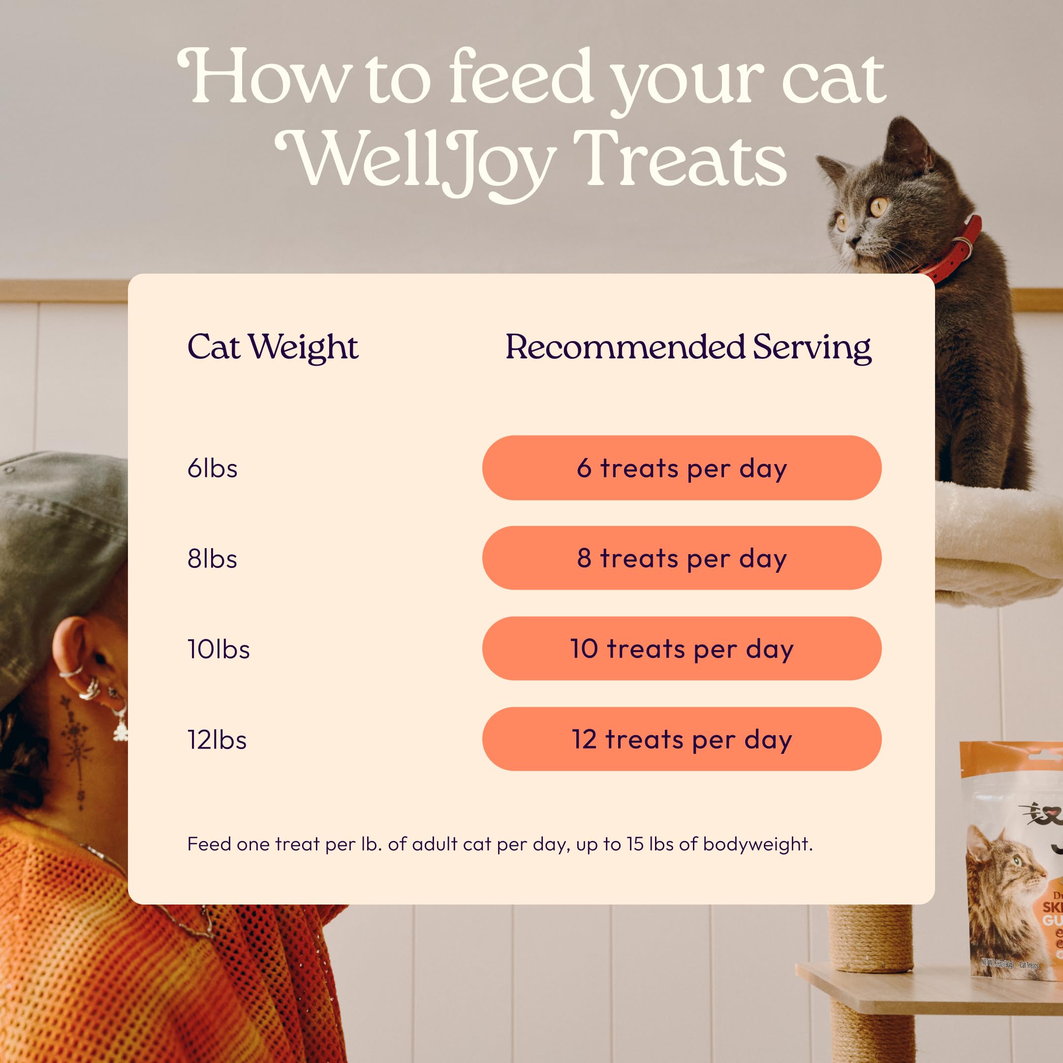 WellJoy vet-formulated cat treats shown with a curious cat in kitchen setting.