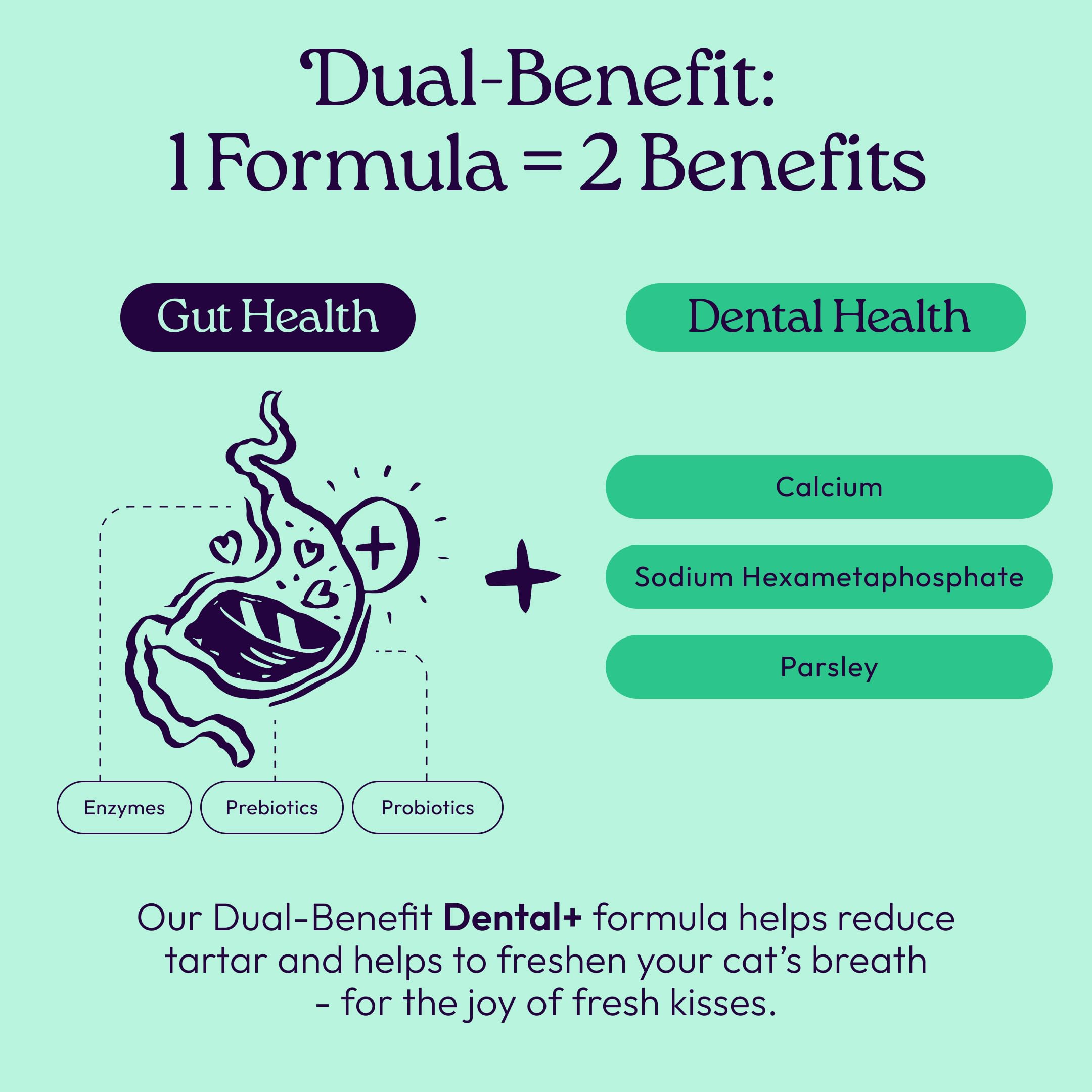 WellJoy GutBoost Biotic Blend: supports gut health with enzymes, prebiotics, and probiotics.