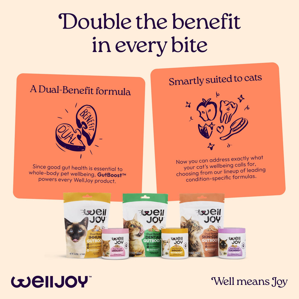 WellJoy 120 soft chews in a resealable pouch for easy storage.