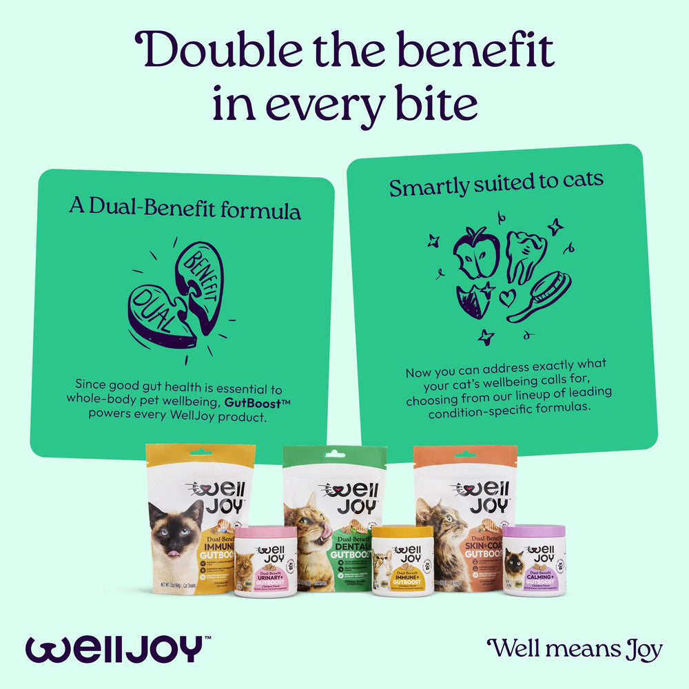 WellJoy Not-For-Kittens: suitable for adult cats.