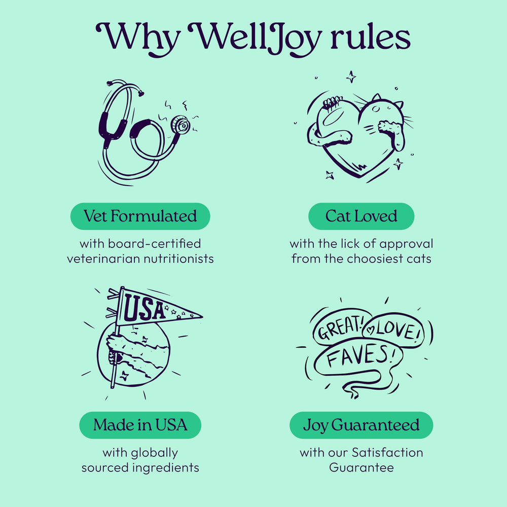 WellJoy Real Shredded Chicken: real chicken flavor for picky eaters.