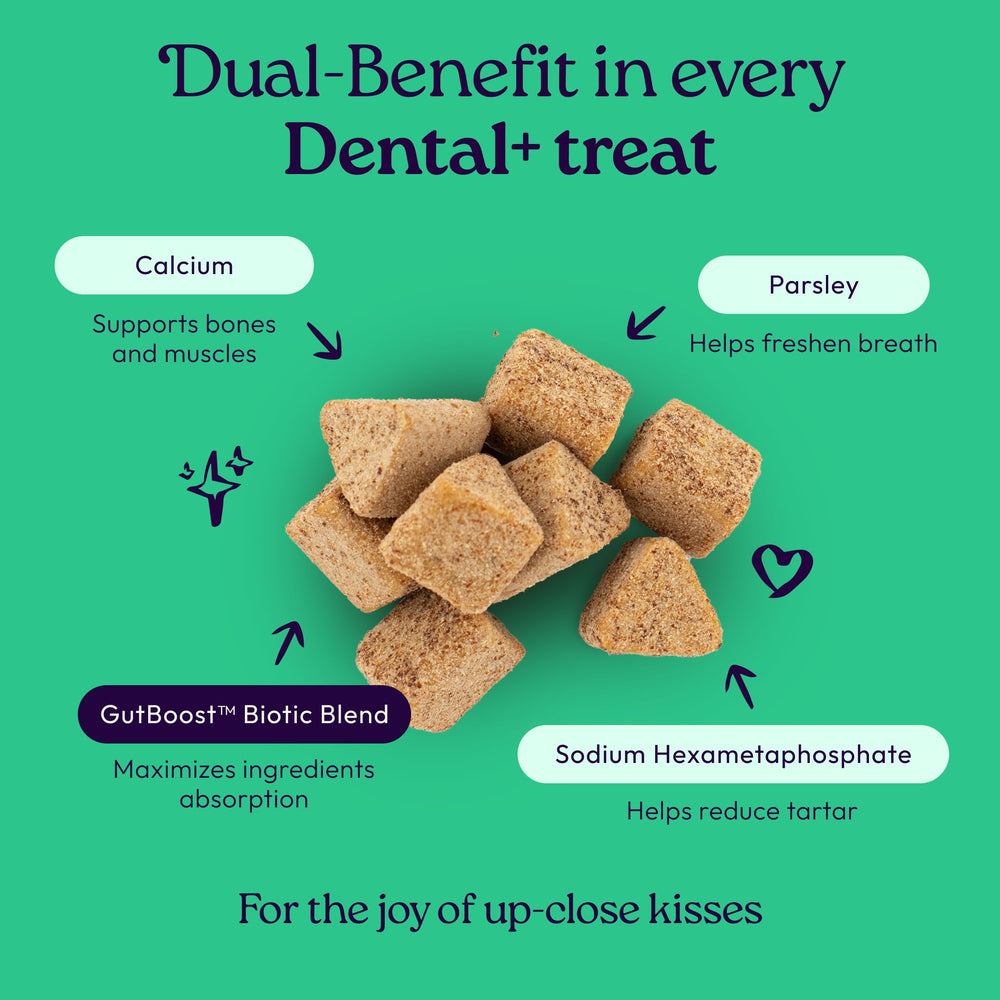 WellJoy Cat Treat Tartar-Reduction: supports tartar control in adult cats.