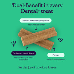 WellJoy breath-freshening treat for dogs with parsley and GutBoost.