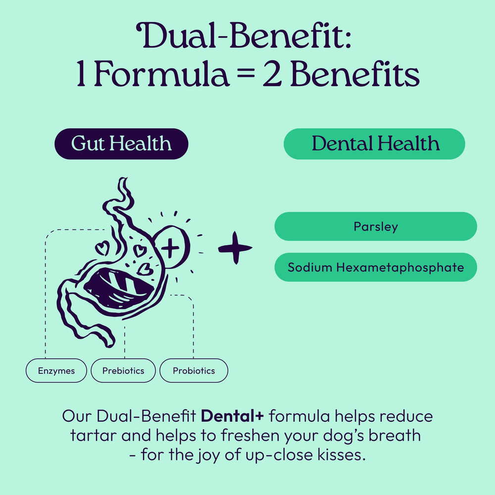 WellJoy GutBoost biotic blend supports gut health and vitality.