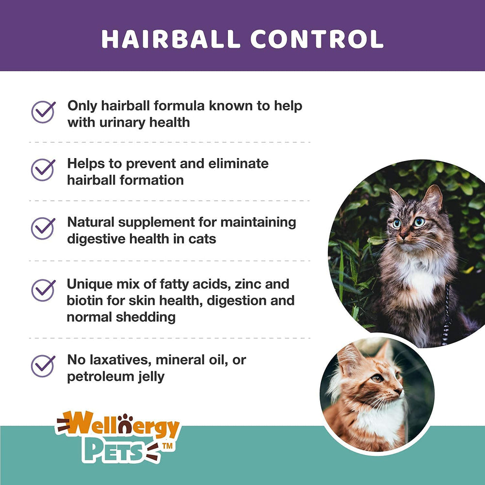 Wellnergy Pets hairball control chews chicken flavor treats appealing to picky cats.