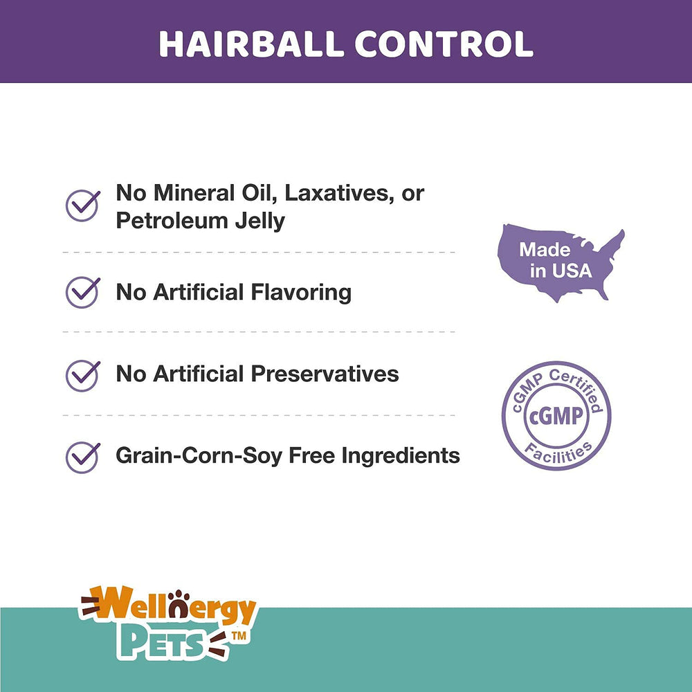 Wellnergy Pets cat chews on package with labeling for urinary and coat health.