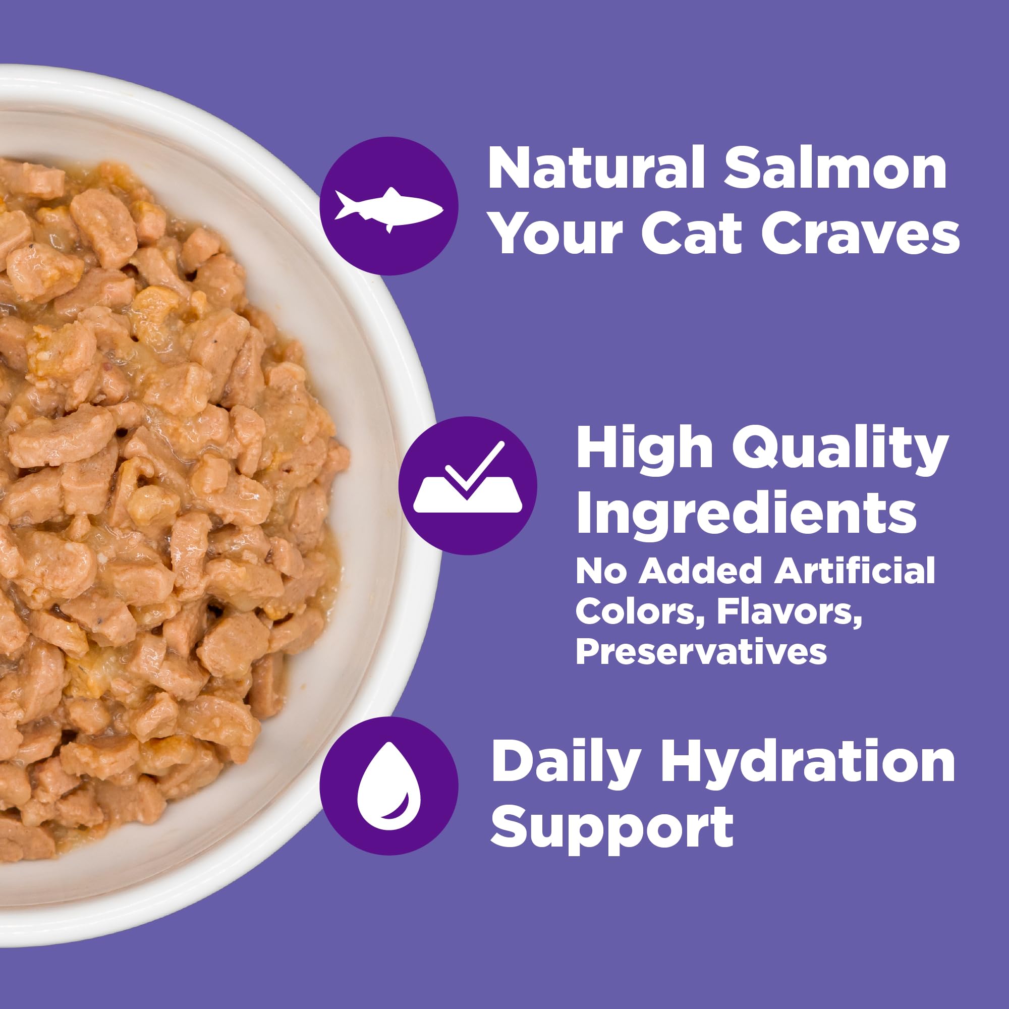 Wellness 12-pack canned cat food on shelf