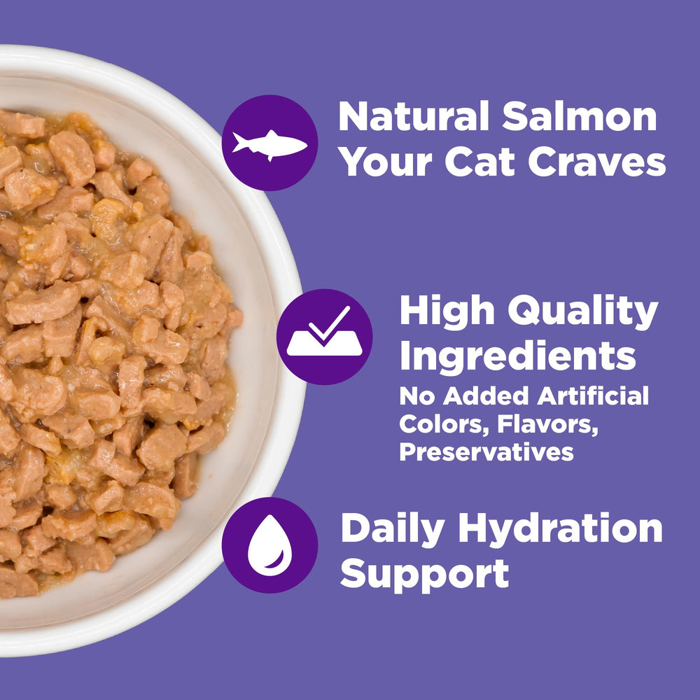 Wellness 12-pack canned cat food on shelf