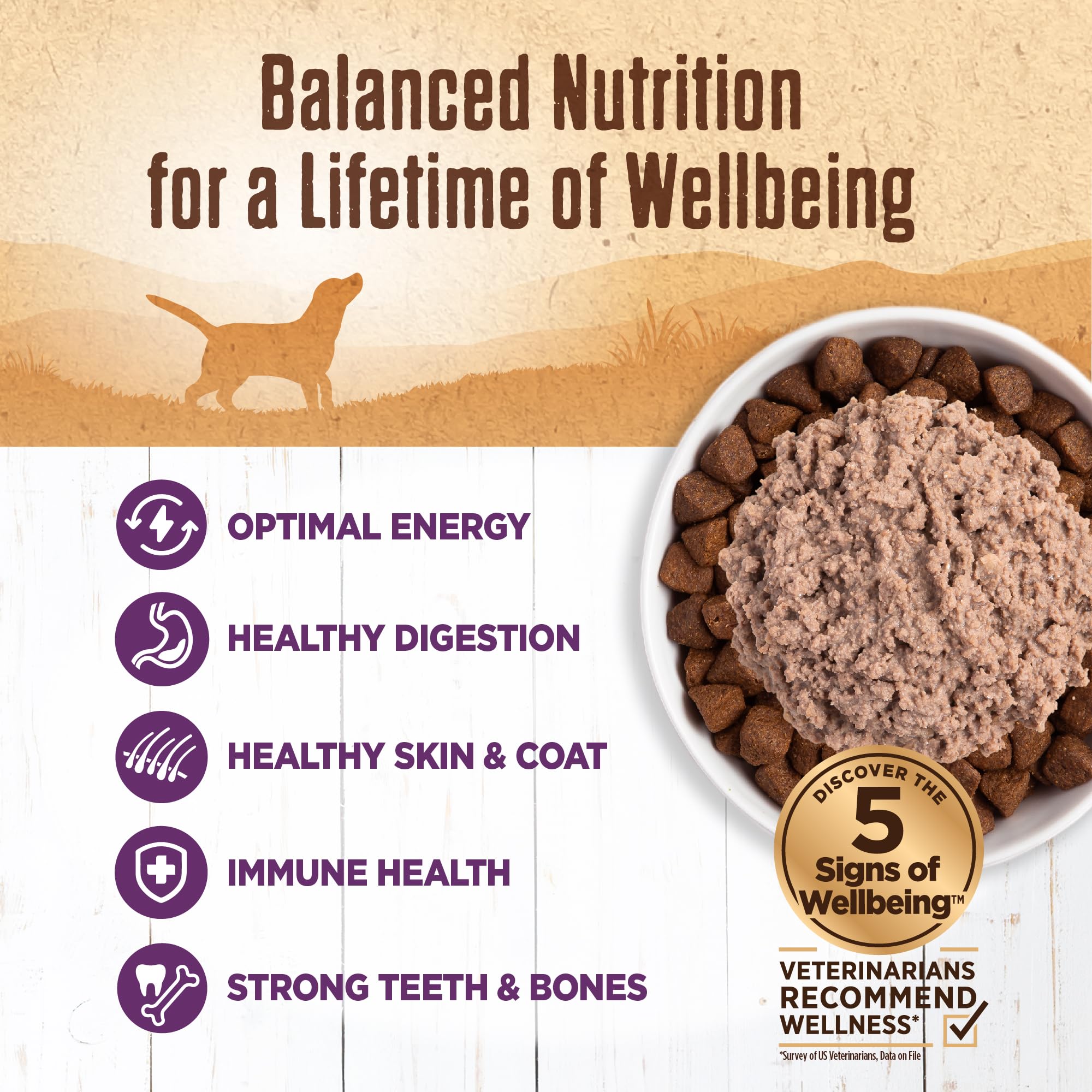 Wellness 95% Chicken Pate served in a bowl with dry kibble.