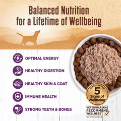 Wellness 95% Chicken Pate served in a bowl with dry kibble.