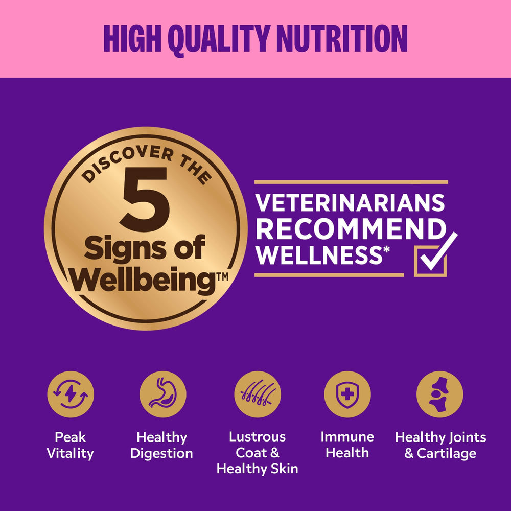 Wellness Appetizing Mousse cat sniffing bowl before eating