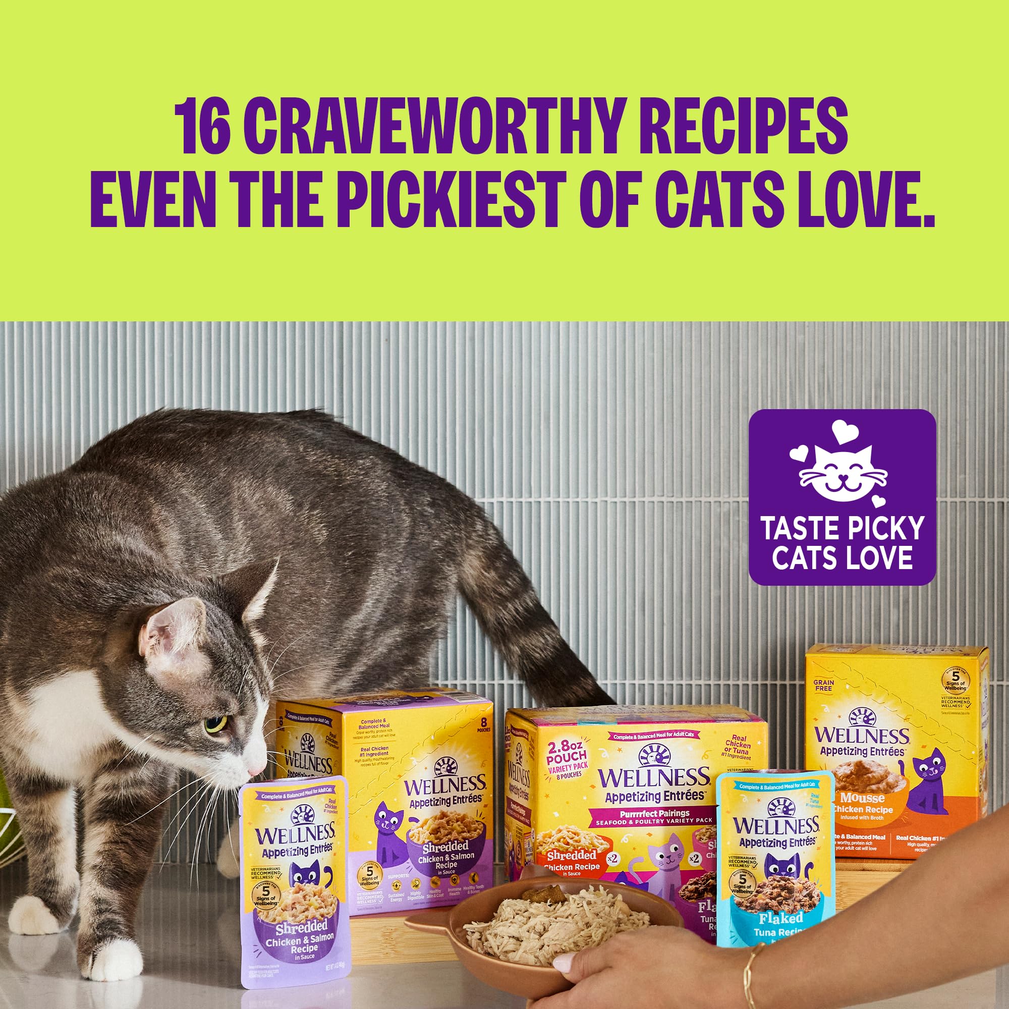 Wellness Appetizing Mousse veterinarian-recommended option for wellbeing
