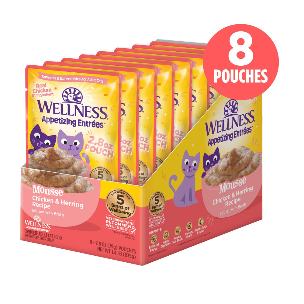 Wellness Appetizing Mousse whipped-texture close-up appealing to picky eaters.