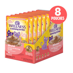 Wellness Appetizing Mousse whipped-texture close-up appealing to picky eaters.