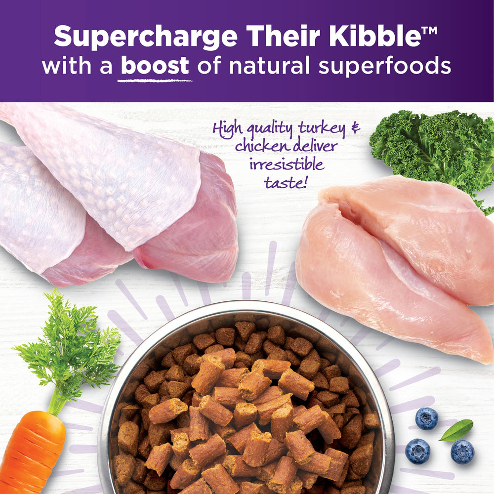 Dog enjoying meals with Wellness Bowl Boosters mixed into kibble