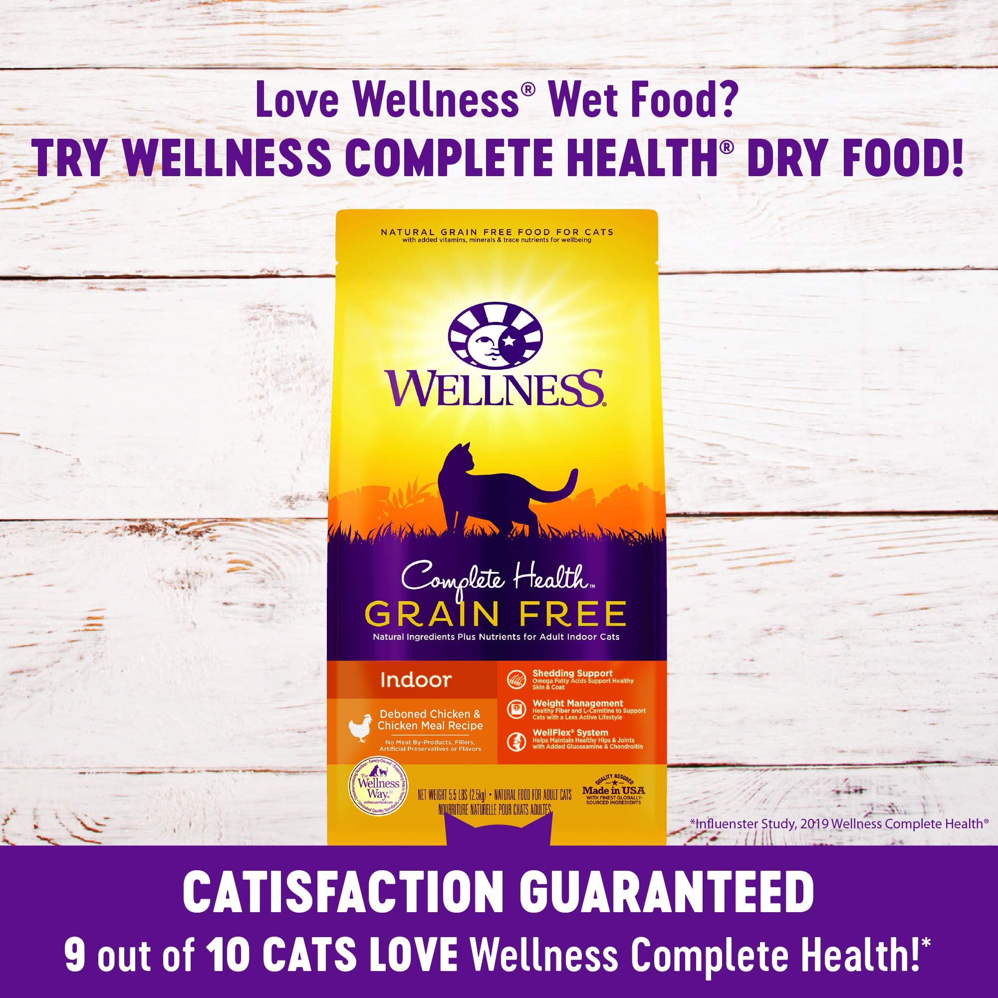 Wellness cat enjoying a moisture-rich meal during feeding.