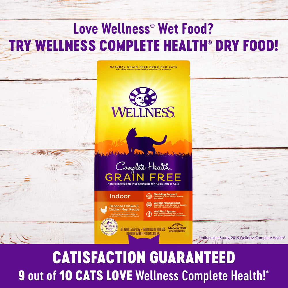 Wellness cat enjoying a moisture-rich meal during feeding.