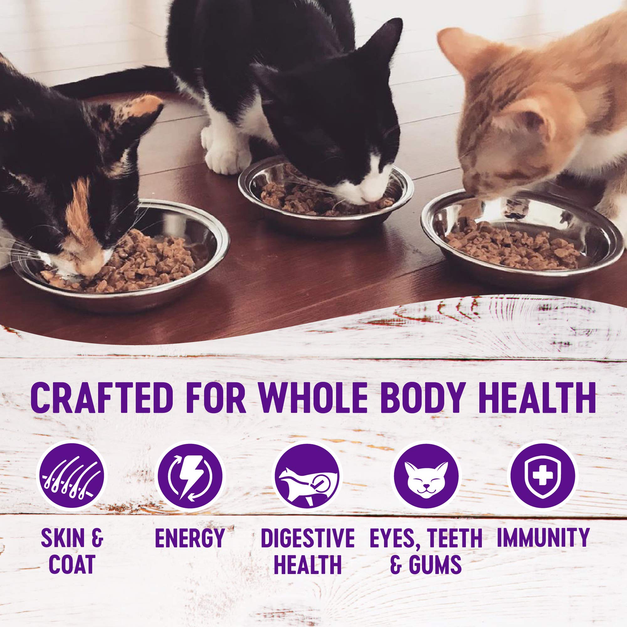 Wellness cat-food-pate-style-base adds smooth texture variety.