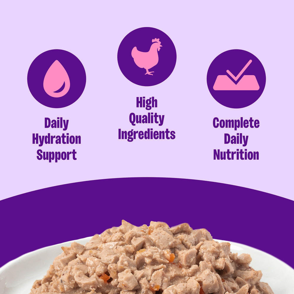 Wellness Chicken Entree pate close-up, rich protein for satisfying meals