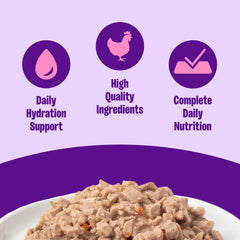 Wellness Chicken Entree pate close-up, rich protein for satisfying meals