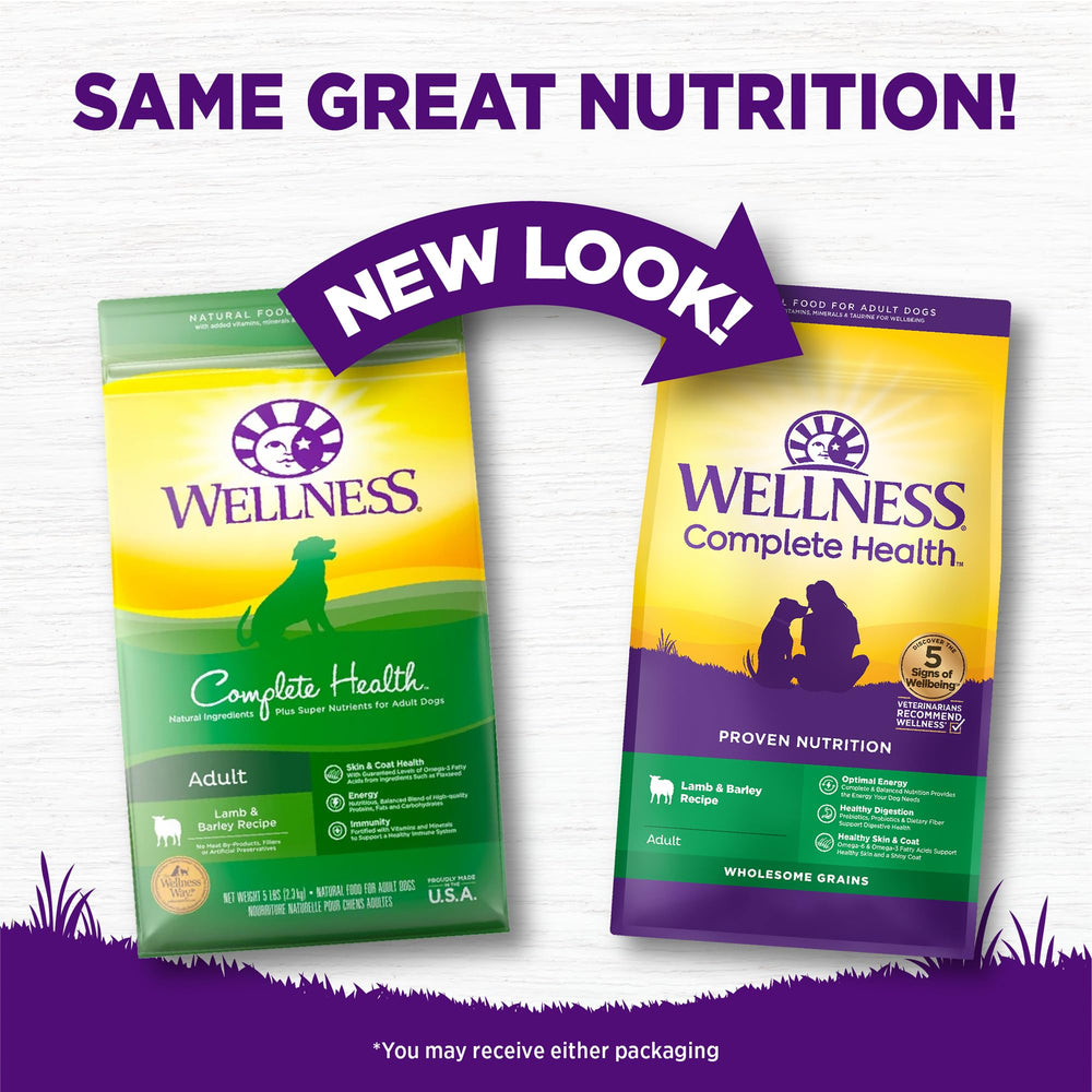 Wellness Complete Health Lamb and Barley kibble close-up emphasizes texture and quality.