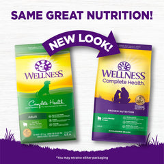 Wellness Complete Health Lamb and Barley kibble close-up emphasizes texture and quality.